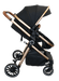 BILY® - Bily Convertible Stroller, Black & Gold