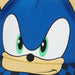 Bioworld Sonic the Hedgehog 3D Ears Hat featuring close-up of Sonic's face and raised ears on front.