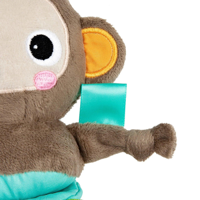 Bright Starts® - Bright Starts Pull, Play & Boogie™ Musical Activity Toy - Monkey