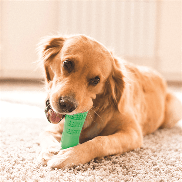 Bristly - Bristly Brushing Stick Medium Heavy Chewer - Green