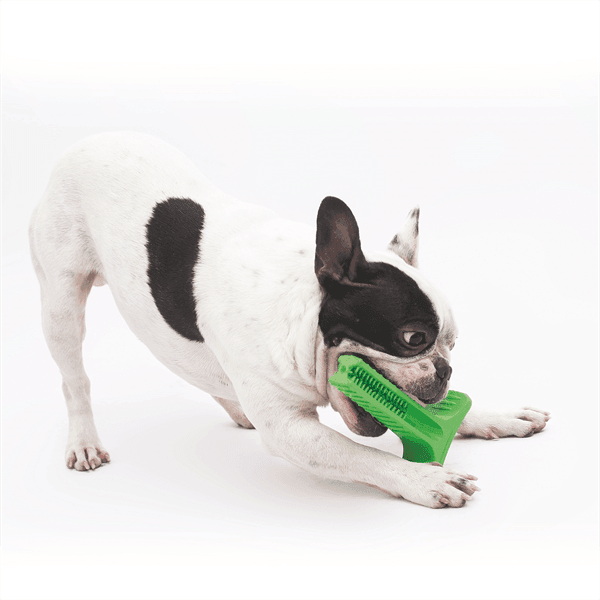 Bristly - Bristly Brushing Stick Small Heavy Chewer - Green