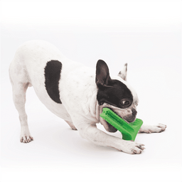 Bristly - Bristly Brushing Stick Small Heavy Chewer - Green