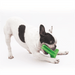 Bristly - Bristly Brushing Stick Small Heavy Chewer - Green