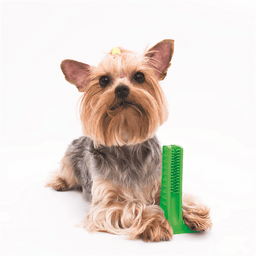 Bristly - Bristly Brushing Stick Small Light Chewer - Green