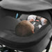 Clek - Clek Liingo No Base Infant Car Seat- Railroad