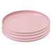 Day in Day Out - Day in Day Out Eco-Friendly 6 in. Plate Set - 4 Pack