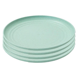 Day in Day Out - Day in Day Out Eco-Friendly 6 in. Plate Set - 4 Pack