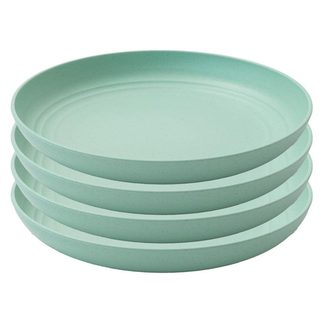 Day in Day Out - Day in Day Out Eco-Friendly 9 in. Plate Set - 4 Pack