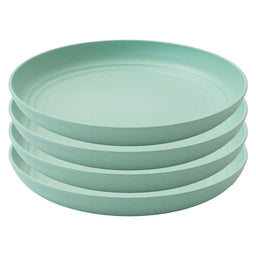 Day in Day Out - Day in Day Out Eco-Friendly 9 in. Plate Set - 4 Pack