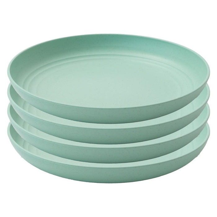 Day in Day Out - Day in Day Out Eco-Friendly 9 in. Plate Set - 4 Pack