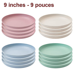 Day in Day Out - Day in Day Out Eco-Friendly 9 in. Plate Set - 4 Pack