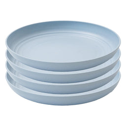 Day in Day Out - Day in Day Out Eco-Friendly 9 in. Plate Set - 4 Pack