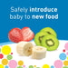 Dr. Brown's® - Dr. Brown's Fresh Baby's Firsts Silicone Feeder - Grey