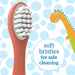 Dr. Brown's® - Dr. Brown's Toddler Toothbrush, Dinosaur, Green and Orange - 2 Pack