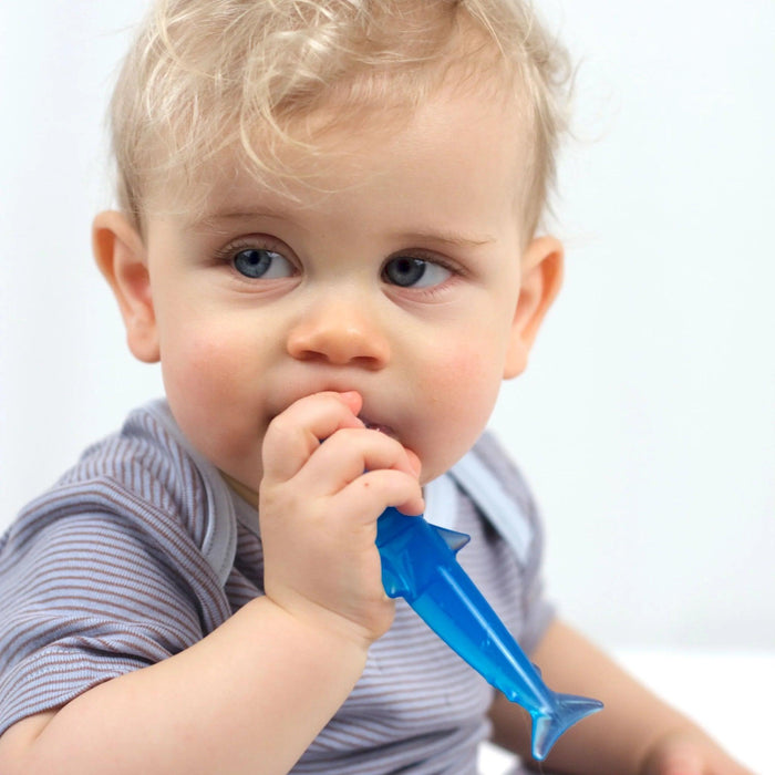 Dr. Brown's® - Kushies Silicone Training Toothbrush for Babies
