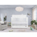 Dream on Me - Dream On Me Reign Jenny Convertible Crib with Drawer