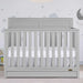 Dream on Me - Dream On Me Reign Jenny Convertible Crib with Drawer