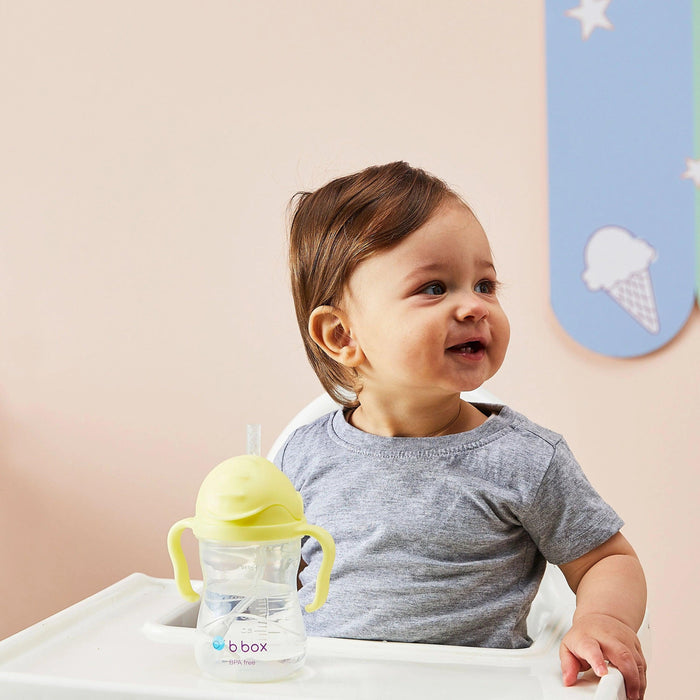 b.box Baby & Toddler Sippy Straw Cup - 240ml