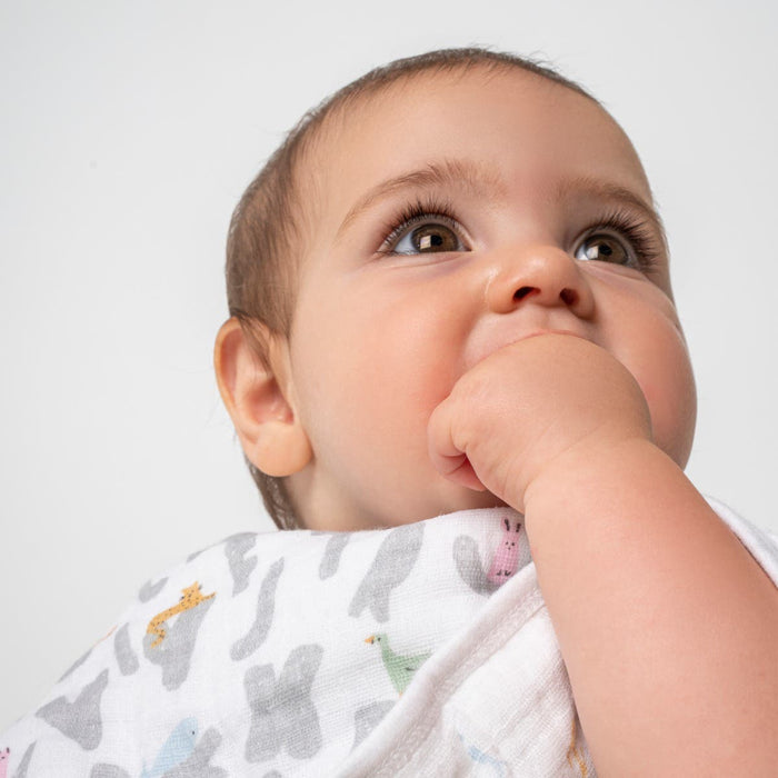 Bavoir en mousseline de coton Aden + Anais Essentials