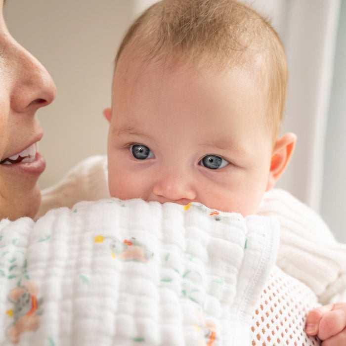 Bavoir en mousseline de coton Aden + Anais Essentials