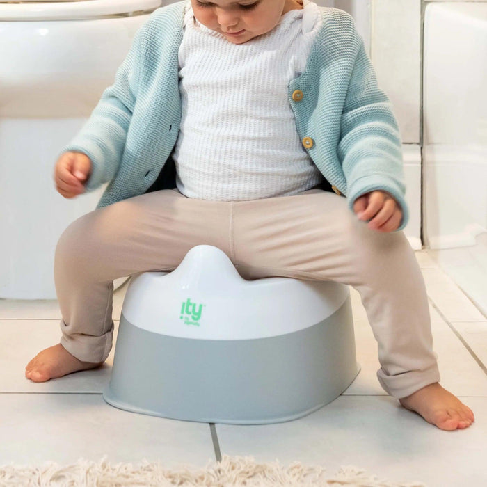 Ingenuity Baby & Toddler Ready Set Go Potty