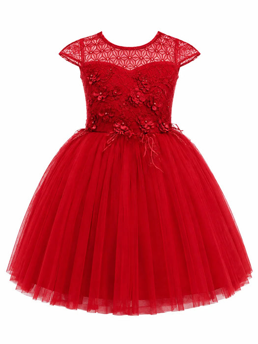 Fancy Kids® Girls 3D Floral Applique Ball Gown Dress Sizes 2-16