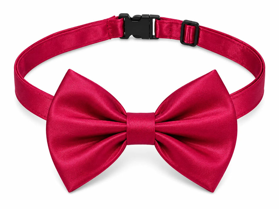 Fancy Kids® Nœud Papillon Réglable en Satin pour Garçons - Petit