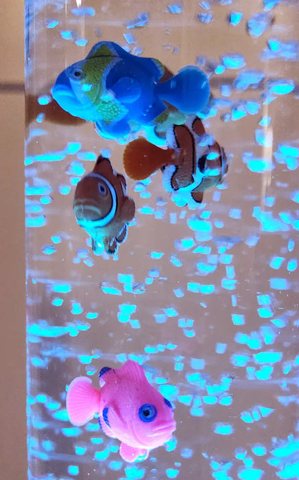 FDMT - Bubblebeam - Bubble Tube Lamp - Sensory Soothing Lamp or Night Light