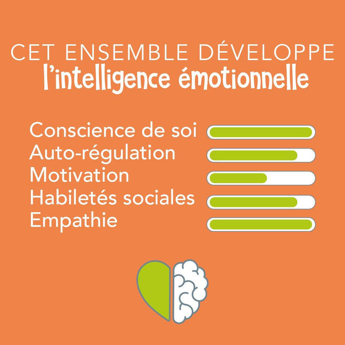 FDMT - FDMT Learning Emotions Tool Game Set