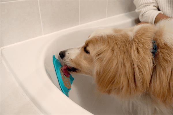 Finn & Winston - Finn & Winston BuzyBudz Treat Pad - Teal/Blue