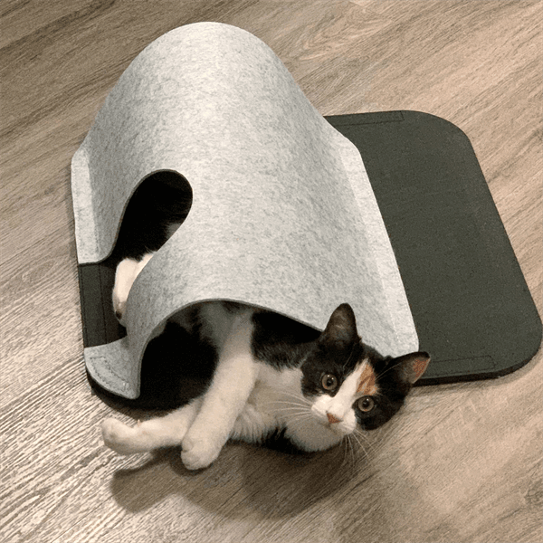 Finn & Winston - Finn & Winston Cat Play Tunnel & Mat