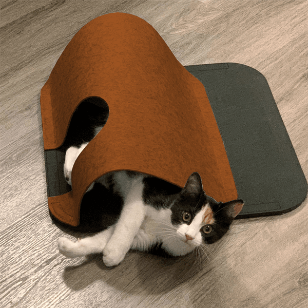 Finn & Winston - Finn & Winston Cat Play Tunnel & Mat