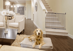 Finn & Winston - Finn & Winston Expandable Metal Gate - Bronze