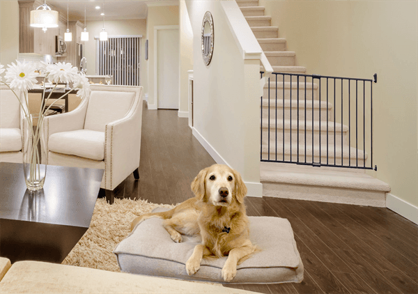 Finn & Winston - Finn & Winston Expandable Metal Gate - Bronze