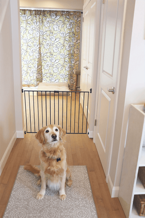 Finn & Winston - Finn & Winston Expandable Metal Gate - Bronze