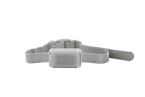 Finn & Winston - Finn & Winston No Bark Collar
