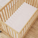 Foundations® - SafeFit™ Elastic Fitted Safety Sheet - Full-Size Cribs - 6 Pack