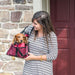 Gen7 Pets - Gen7 Pets Carry-Me Pet Carrier