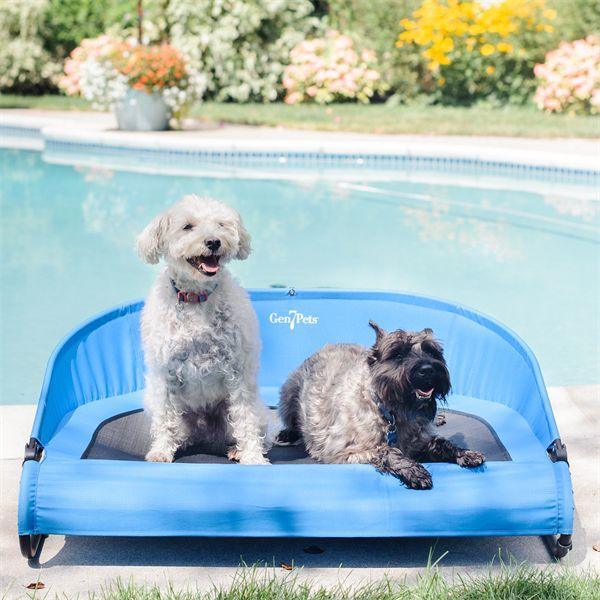 Gen7 Pets - Gen7 Pets Cool-Air Cot™