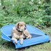 Gen7 Pets - Gen7 Pets Cool-Air Cot™