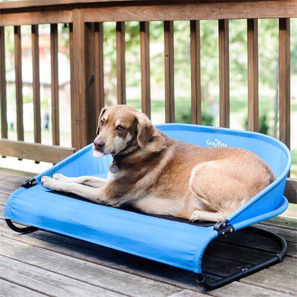 Gen7 Pets - Gen7 Pets Cool-Air Cot™