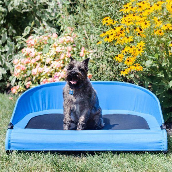 Gen7 Pets - Gen7 Pets Cool-Air Cot™
