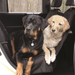 Gen7 Pets - Gen7 Pets Deluxe Car Seat Protector