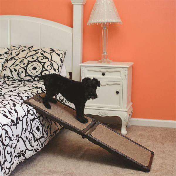Gen7 Pets - Gen7 Pets Indoor Carpet Ramp Mini 42"