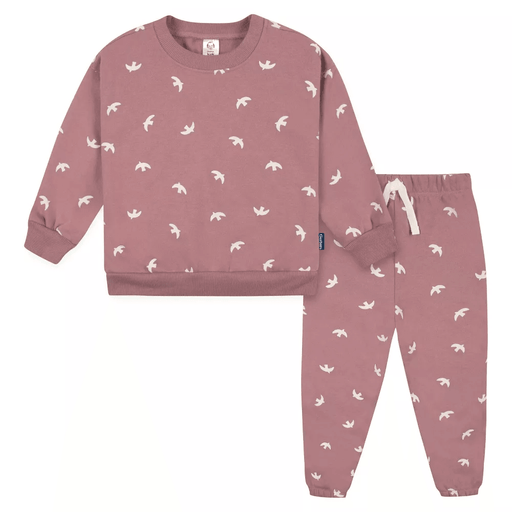 Gerber - Gerber Baby and Toddler Girls' 2-Piece Sweatshirt & Active Pant Set - Birds