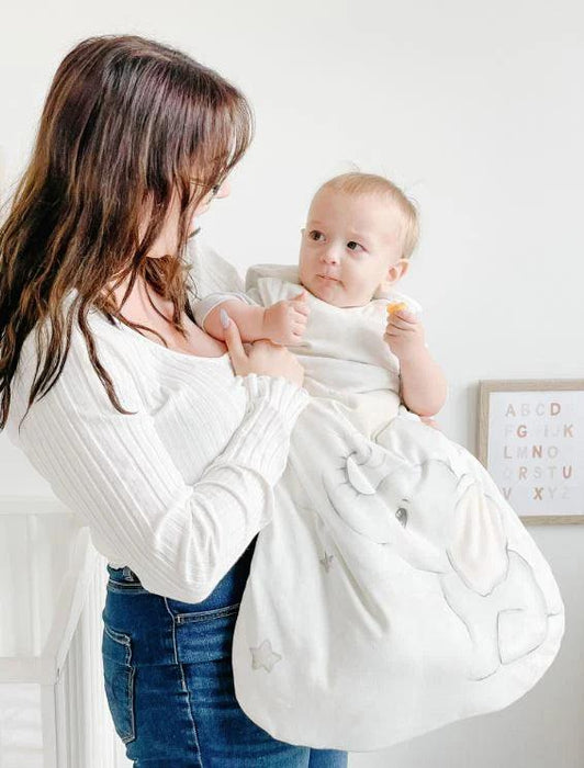 Glitter and Spice - Glitter and Spice Baby Sleepsack Up & Away - 0-6m - TOG 2.5