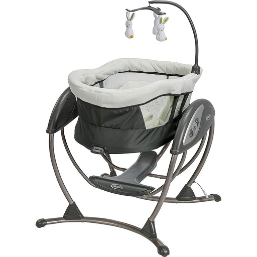 Graco® - Graco® DuoGlider™ Gliding Swing - Rascal