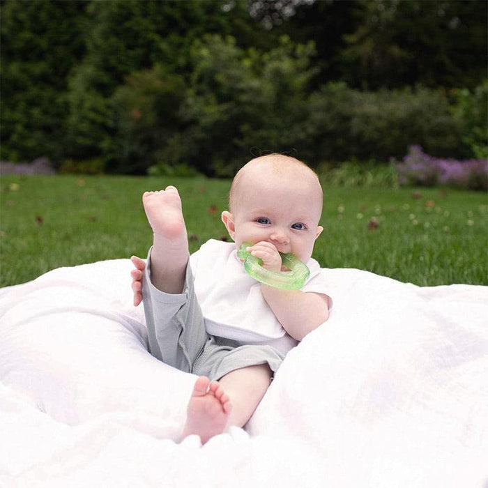 Green Sprouts - Green Sprouts Cool Fruit Teether Ring