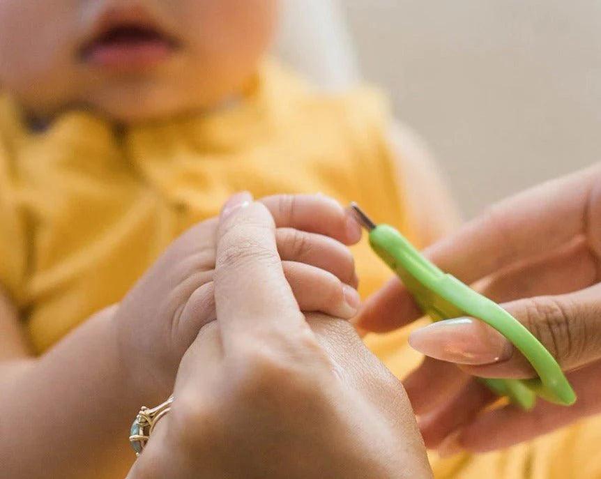 Green Sprouts® - Green Sprouts Baby Nail Scissors