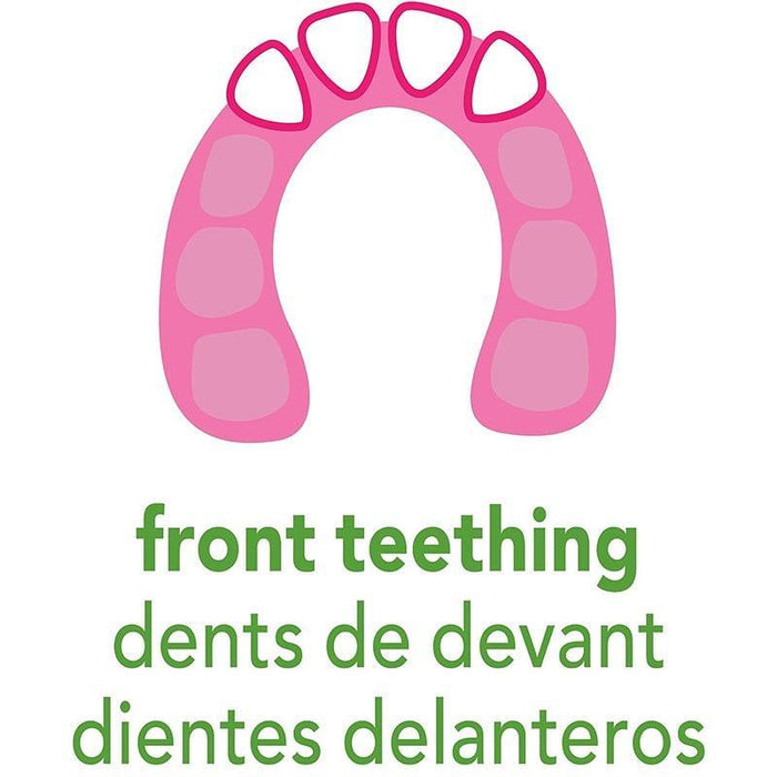 Green Sprouts® - Green Sprouts Cool Fruit Teether Ring